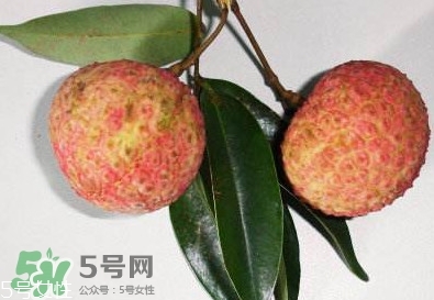 雞嘴荔枝多少錢(qián)一斤2017？香山雞嘴荔枝什么價(jià)錢(qián)