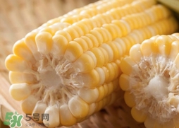 水果玉米多少錢(qián)一斤2017？水果玉米市場(chǎng)價(jià)格