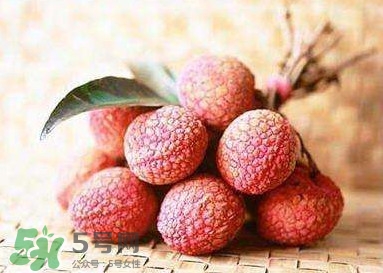 貴妃荔枝是哪里的？貴妃荔枝的產(chǎn)地是哪里