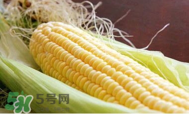 水果玉米是甜玉米嗎？水果玉米和甜玉米的區(qū)別