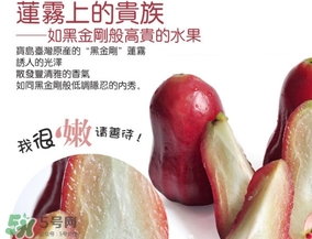 黑金剛蓮霧好吃嗎？黑金剛蓮霧多少錢一斤2017？