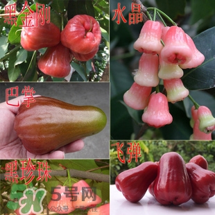蓮霧什么季節(jié)吃最好？什么品種的蓮霧最好吃