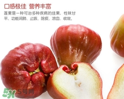 黑珍珠蓮霧多少錢一斤2017？黑珍珠蓮霧產(chǎn)地是哪里