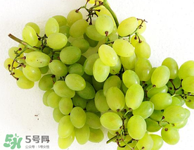 青提什么時候成熟？青提什么時候上市？