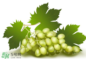 青提不能和什么一起吃？青提哪些人不能吃？