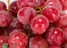提子什么季節(jié)成熟？提子什么時候上市？
