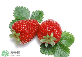 夏天有草莓嗎？夏天草莓結(jié)果嗎？