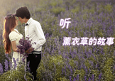 六月份還有薰衣草嗎？6月份哪里有薰衣草？