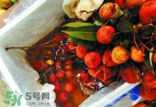 荔枝為什么要用藥水泡？荔枝藥水浸泡是否安全？