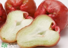 蓮霧什么季節(jié)成熟？蓮霧什么時候成熟