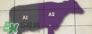 A2奶粉斷貨用什么奶代替最合適？與A2奶粉相近的奶是什么