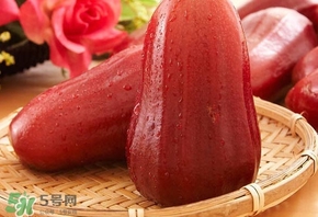 蓮霧什么季節(jié)吃最好？什么品種的蓮霧最好吃