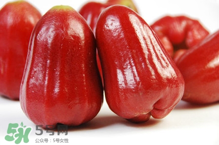 黑珍珠蓮霧多少錢一斤2017？黑珍珠蓮霧產(chǎn)地是哪里