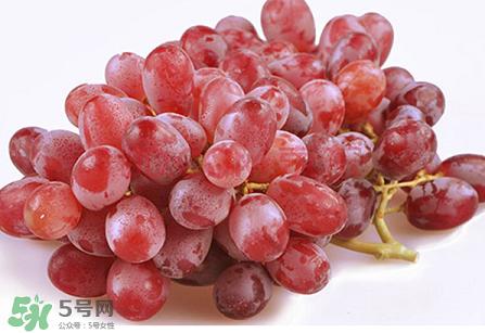 提子為什么會澀？提子澀怎么辦是沒熟嗎？