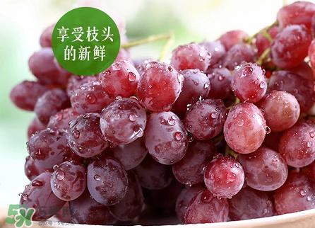 提子為什么會澀？提子澀怎么辦是沒熟嗎？