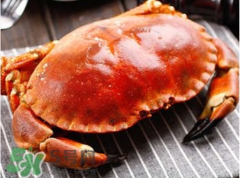 面包蟹是哪里產(chǎn)的？面包蟹哪里不能吃圖解