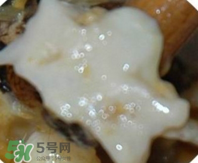 面包蟹是哪里產(chǎn)的？面包蟹哪里不能吃圖解