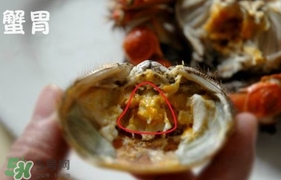 面包蟹是哪里產(chǎn)的？面包蟹哪里不能吃圖解
