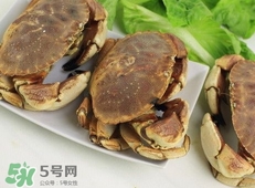 面包蟹是黃道蟹嗎？黃道蟹和面包蟹一樣嗎