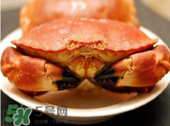 熟凍面包蟹怎么解凍？熟凍面包蟹要怎么清洗