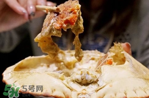 面包蟹什么季節(jié)吃最好？面包蟹什么時(shí)候最有黃