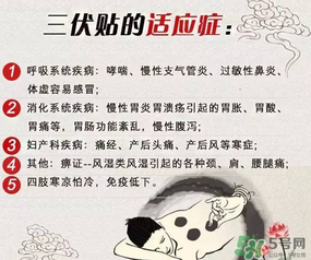 三伏貼能治什么??？三伏貼能治哪些??？