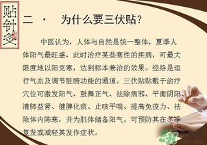 三伏貼能治什么??？三伏貼能治哪些病？