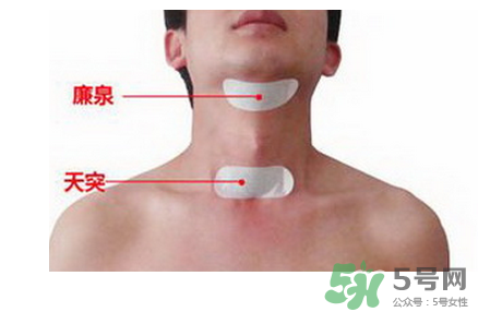 三伏貼貼在什么位置？三伏貼貼哪里？
