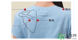 三伏貼貼在什么位置？三伏貼貼哪里？
