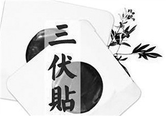 貼三伏貼注意事項 貼三伏貼要注意什么？