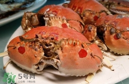 面包蟹什么季節(jié)吃最好？面包蟹什么時(shí)候最有黃