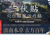三伏貼貼在什么位置？三伏貼貼哪里？
