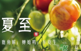 夏至是什么意思？夏至的習(xí)俗有哪些