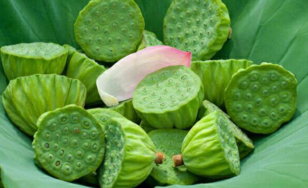 新鮮蓮子什么時(shí)候有？新鮮蓮子幾月有？
