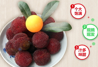 楊梅泡酒能放多久？楊梅酒保質(zhì)期