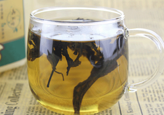 杜仲茶怎么泡？杜仲茶怎么喝