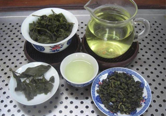 杜仲茶哪些人不適宜喝？杜仲茶飲用注意事項