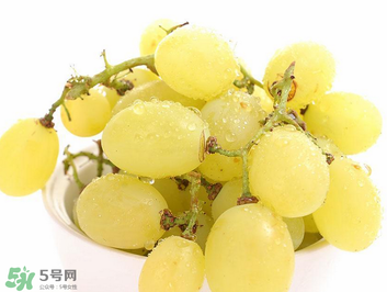 馬奶葡萄什么時候上市？馬奶葡萄2017上市時間