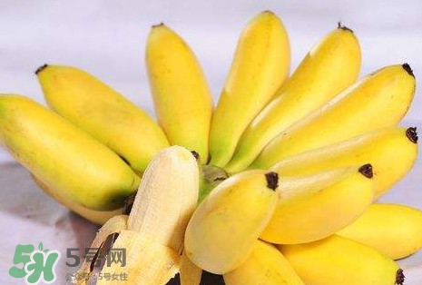 芭蕉和香蕉哪個貴？芭蕉和香蕉哪個好