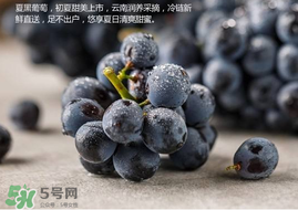 無(wú)籽葡萄孕婦能不能吃？無(wú)籽葡萄和葡萄的區(qū)別