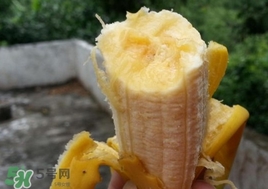 芭蕉能和蜂蜜一起吃嗎？蜂蜜可以和芭蕉一起吃嗎