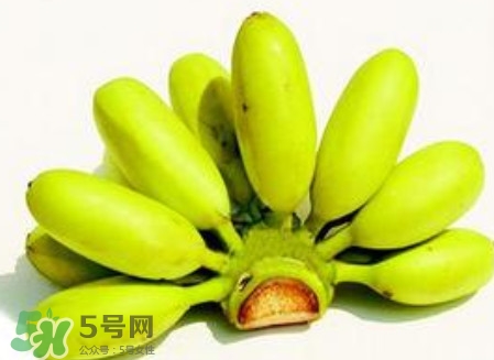 芭蕉和桃子能一起吃嗎？芭蕉可以和桃子一起吃嗎