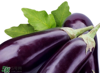 茄子怎么挑選？如何挑選茄子？