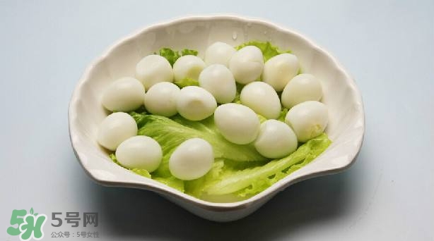 鵪鶉蛋和雞蛋哪個營養(yǎng)價(jià)值高？鵪鶉蛋怎么選購？
