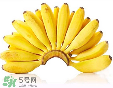 芭蕉和香蕉哪個貴？芭蕉和香蕉哪個好