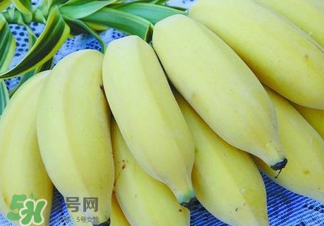 芭蕉里面的黑籽是什么？芭蕉是草本類還是木本類