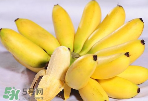 芭蕉可以空腹吃嗎？空腹吃芭蕉有什么危害