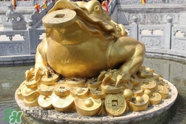 蟾蜍能活多久？蟾蜍可以活多少年