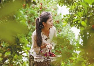 仙居楊梅在哪里？仙居楊梅哪里最好？