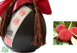 楊梅酒和青梅酒哪個(gè)好喝？楊梅酒和青梅酒區(qū)別